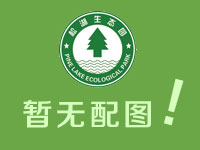 東莞拓展培訓(xùn)項(xiàng)目——畢業(yè)墻